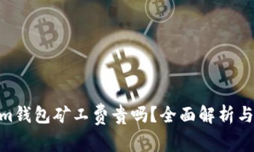 Token.im钱包矿工费贵吗?全面解析与用户指南