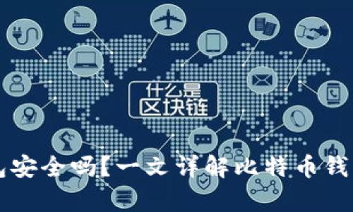 BitPay钱包安全吗?一文详解比特币钱包的安全性