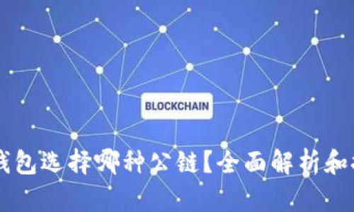 im钱包选择哪种公链?全面解析和推荐