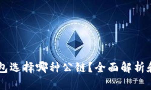 im钱包选择哪种公链?全面解析和推荐