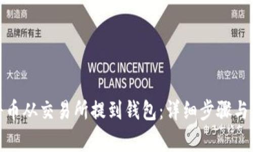 : 如何将币从交易所提到钱包:详细步骤与注意事项