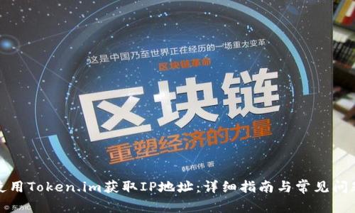 如何使用Token.im获取IP地址:详细指南与常见问题解答