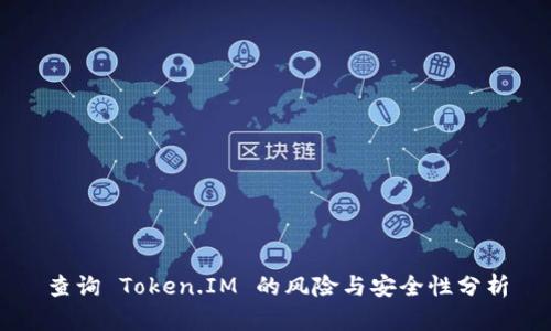 查询 Token.IM 的风险与安全性分析