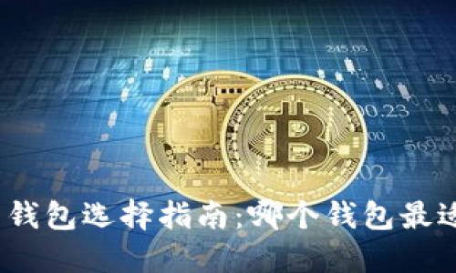 数字币钱包选择指南:哪个钱包最适合你?
