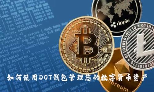 如何使用DOT钱包管理您的数字货币资产