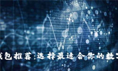 虚拟币200种钱包推荐:选择最适合你的数字资产管理方案