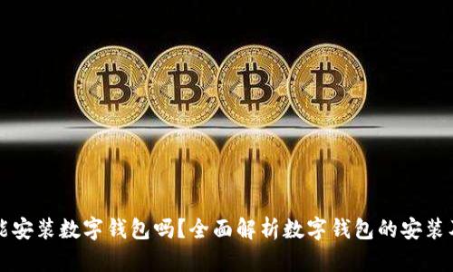 现在能安装数字钱包吗?全面解析数字钱包的安装及使用