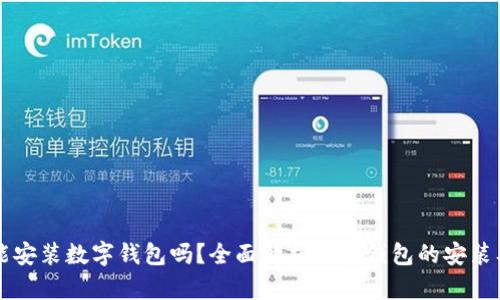 现在能安装数字钱包吗?全面解析数字钱包的安装及使用