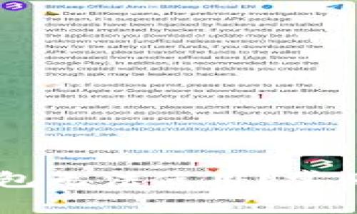 为什么我的im钱包无法使用?常见问题与解决方案