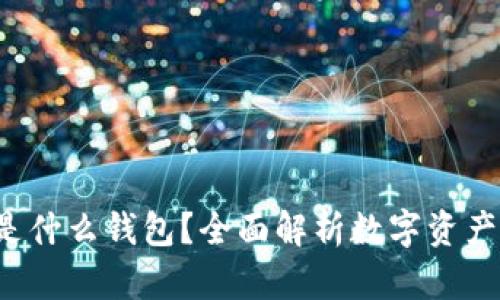 Token.im 是什么钱包？全面解析数字资产钱包的选择