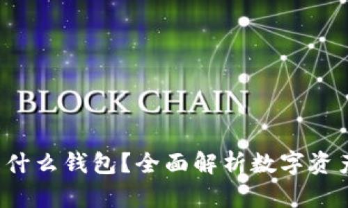Token.im 是什么钱包？全面解析数字资产钱包的选择