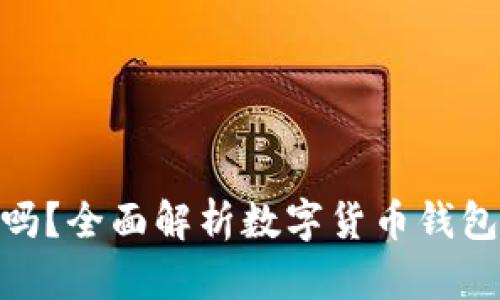 数字货币钱包能玩吗?全面解析数字货币钱包的使用价值与风险