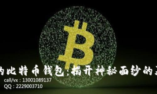 中本聪的比特币钱包:揭开神秘面纱的幕后故事