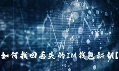 如何找回丢失的IM钱包秘钥?