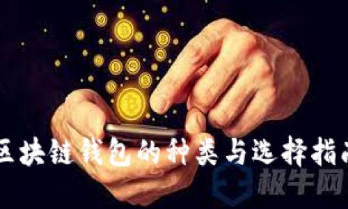 区块链钱包的种类与选择指南