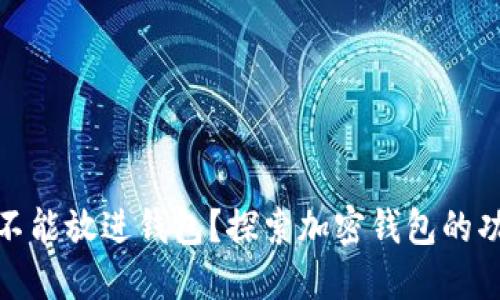 加密货币能不能放进钱包?探索加密钱包的功能与安全性
