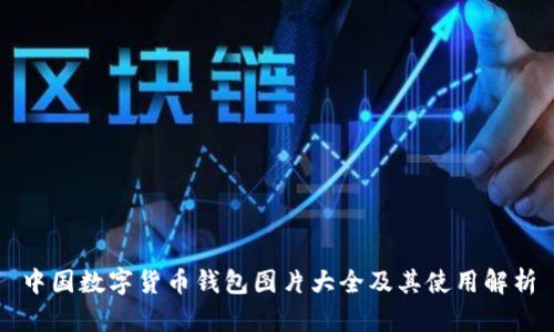 中国数字货币钱包图片大全及其使用解析