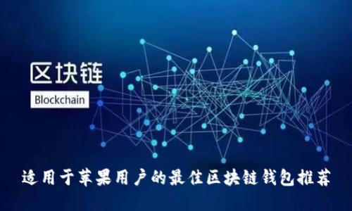 适用于苹果用户的最佳区块链钱包推荐