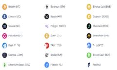 探索虚拟币APP的奇妙世界