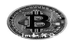 探索骷髅头的魅力：Toke