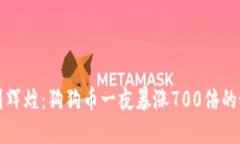 从沉寂到辉煌：狗狗币一