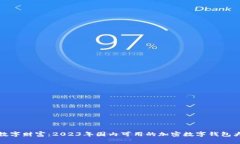 解锁数字财富：2023年国内