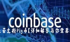 token.im是否支持Pig币？详细