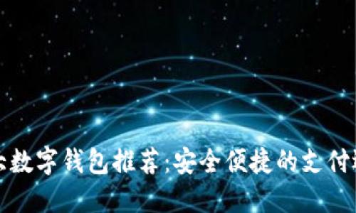 十大数字钱包推荐：安全便捷的支付选择