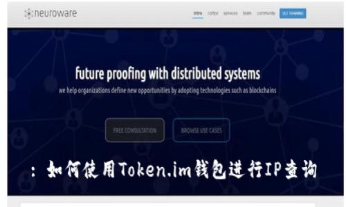 : 如何使用Token.im钱包进行IP查询