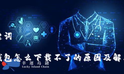 和关键词

数字钱包怎么下载不了的原因及解决方法