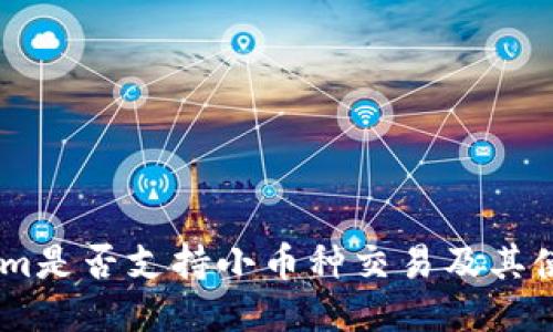 Token.im是否支持小币种交易及其使用指南