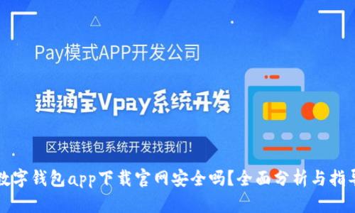 数字钱包app下载官网安全吗？全面分析与指导