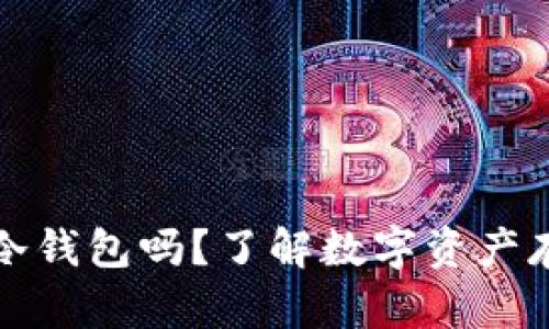 token.im是冷钱包吗？了解数字资产存储的安全性